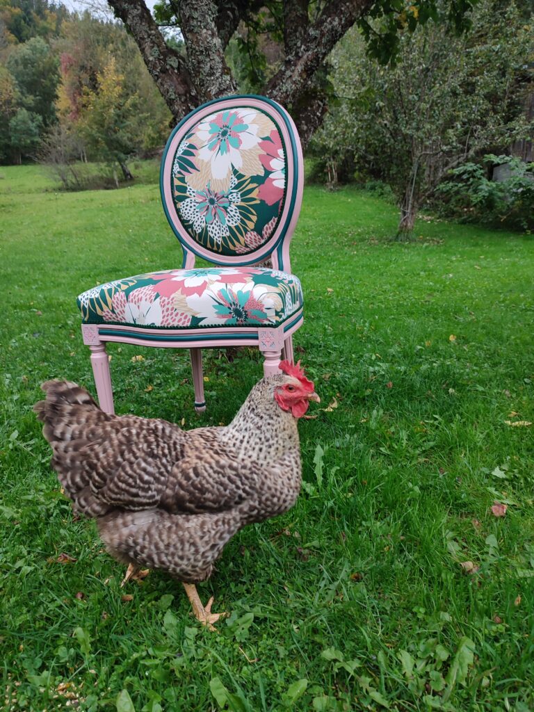 Tapissier en siège - Chaise Louis XVI à médaillon